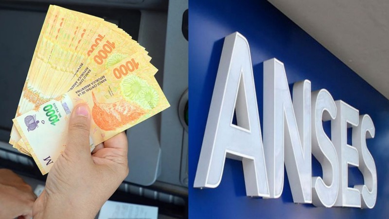 Paso a paso cómo anotarse al nuevo bono similar al IFE que otorgará la Anses