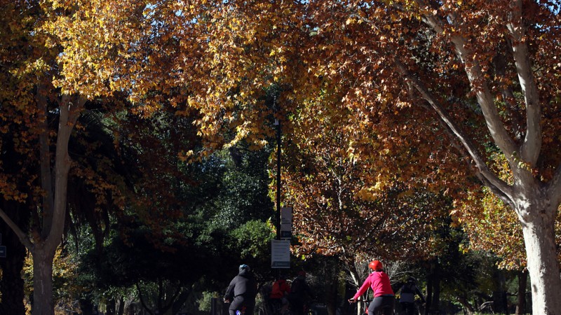 Nublado, frío y con lluvias: así estará el domingo en Mendoza