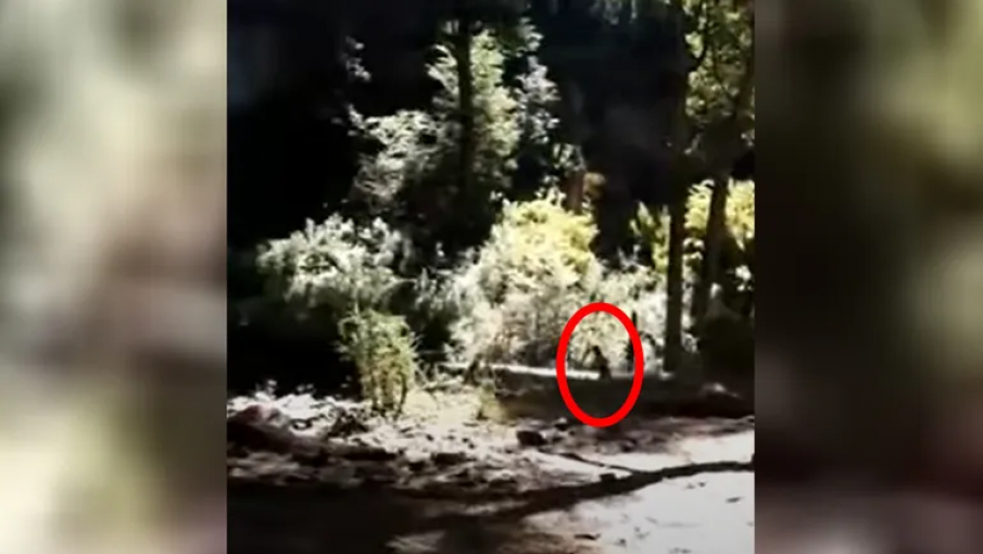 DUENDE ANDINO, VIDEO DE Tik tok que va viralizado. Muchos esperando que el  duende se mueva o que este vivo, El enunciado que tiene el vídeo es  DUENDE  REAL CAPTADO