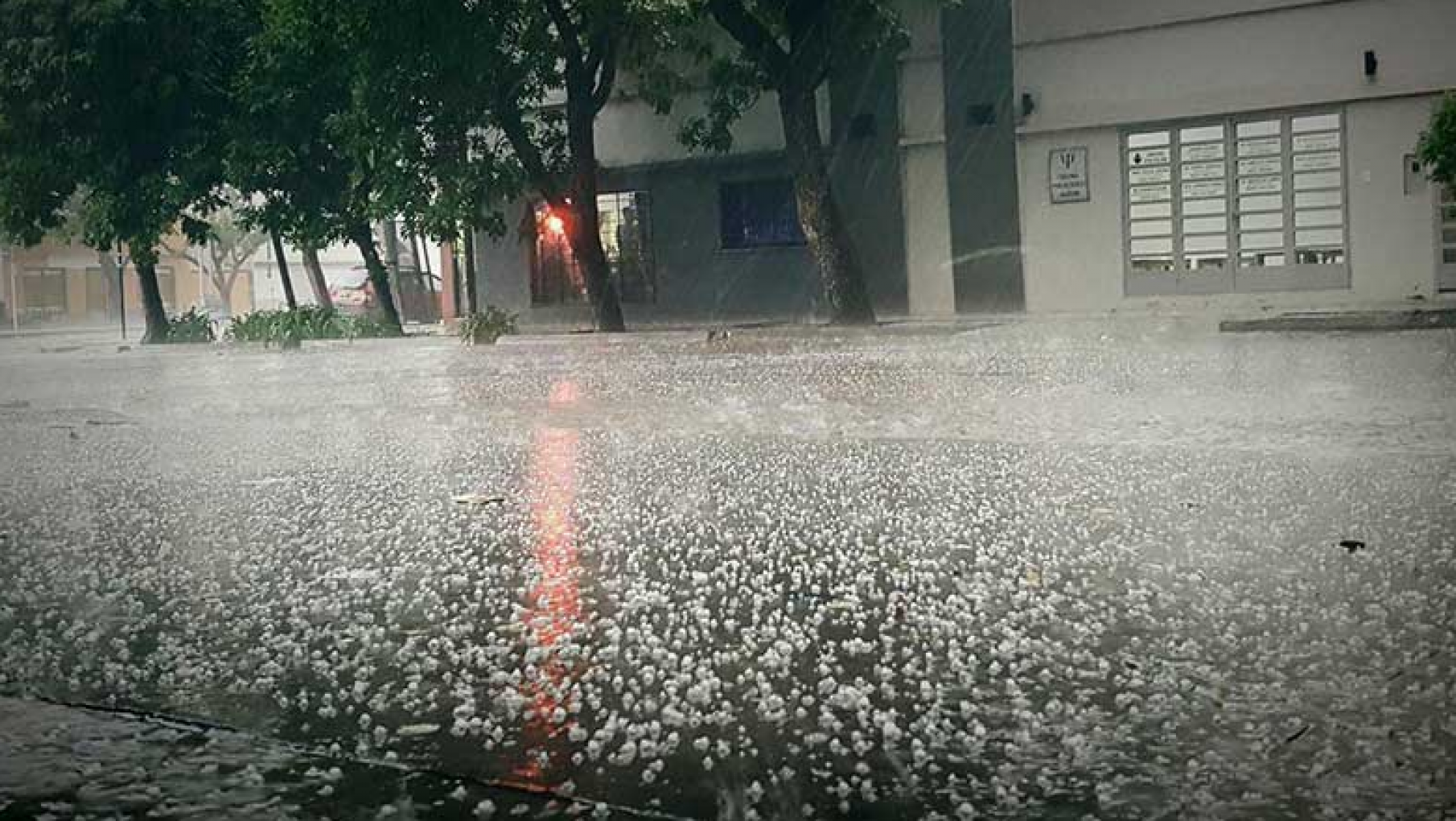Árboles caídos, postes tirados y cables por doquier: lo que dejó la tormenta en Mendoza