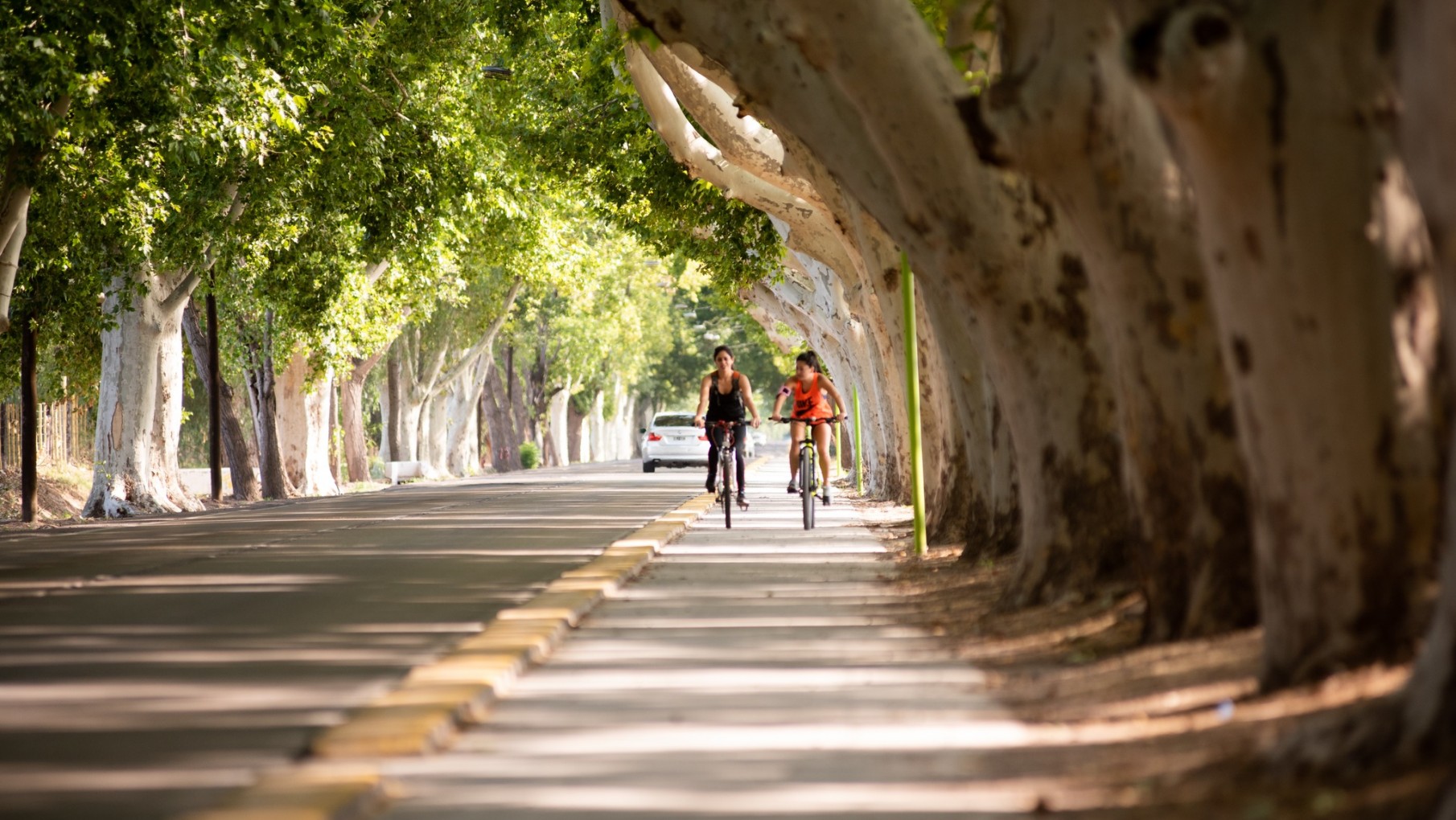 Sube la temperatura y se espera un miércoles agradable en Mendoza