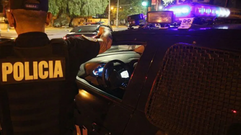 Detuvieron a tres personas que viajaban con una vaca muerta en Tupungato