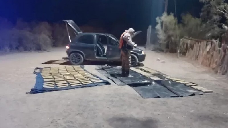 Un sanjuanino intentó ingresar un arsenal de marihuana a Mendoza y quedó detenido