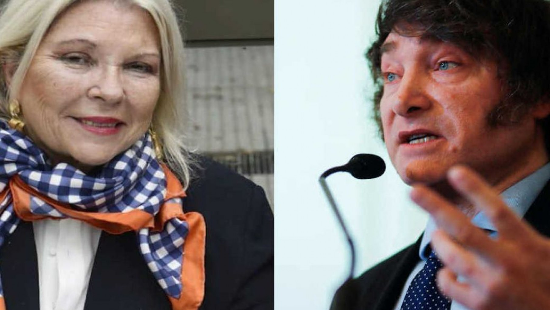 Reapareció Carrió con fuertes críticas hacia Javier Milei: "Esta no es una postura caprichosa"