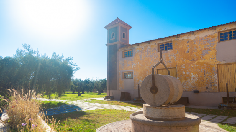 Una conocida olivícola mendocina, elegida otra vez como la mejor del mundo