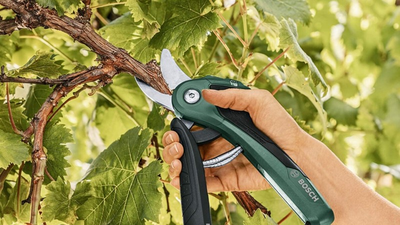 Un hombre murió electrocutado cuando cortaba unas ramas