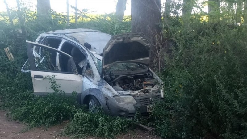 Manejaba muy borracho, se dio de lleno contra un árbol y mató a uno de sus acompañante
