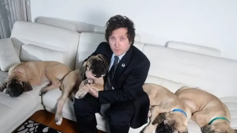 ¿Dónde están los perros de Milei? Los desconocidos detalles que revelaron