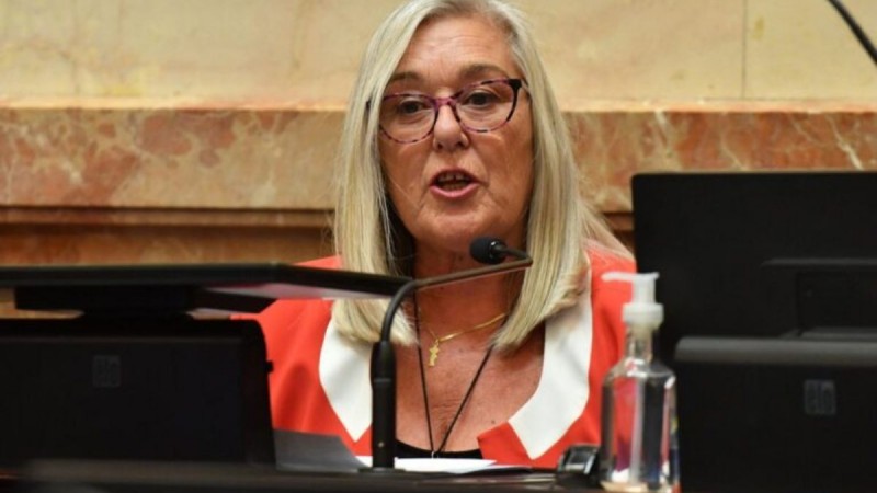 Polémico: una senadora de la UCR denunció que fue amenazada tras votar en contra del DNU