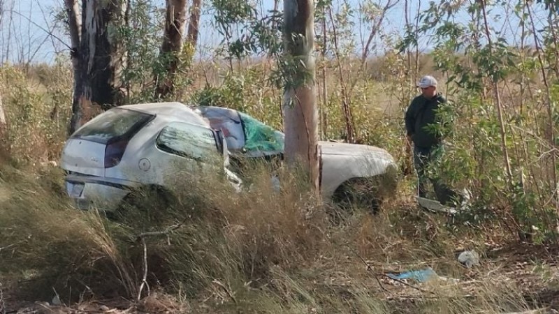 Imágenes impactantes: una mujer chocó contra un árbol camino a Lavalle