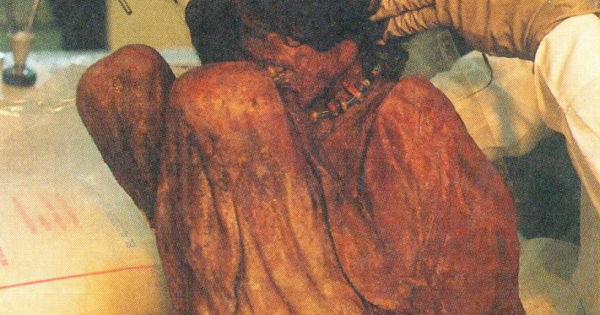 La momia del Aconcagua, el misterio que desvela a científicos de todo el  mundo - VOXPOPULI TU VOZ ES NOTICIA