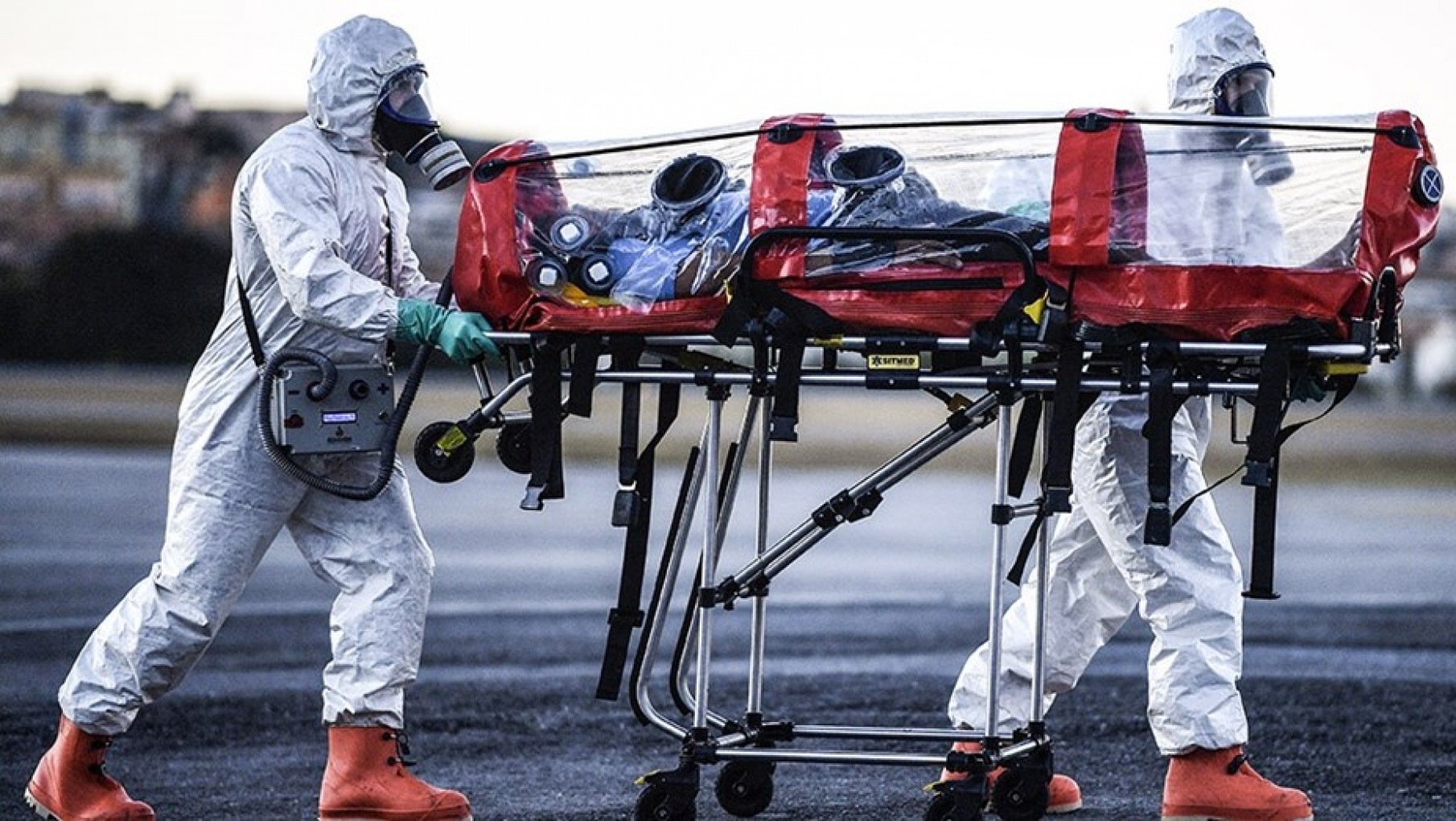 Impactante: ya hay más de 43 millones de afectados por Covid-19