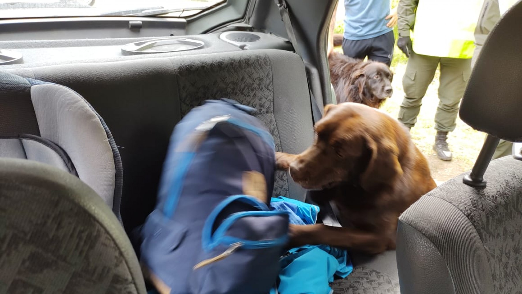 No alcanzaron a descartar y Azul los descubrió