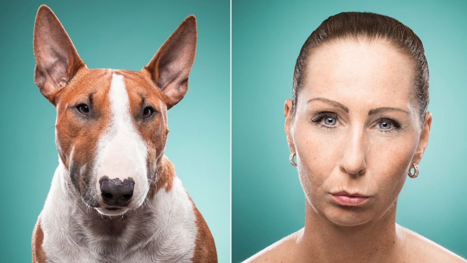 Día del Animal: ¿por qué dicen que los perros se parecen a sus dueños?